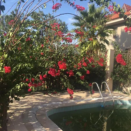 Infinity Exclusive Villas * Гёчек